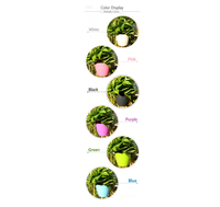 Pot Tanaman Hidroponik Gantung Dinding Resin Bulat Kreatif, Penyiram Otomatis, Cocok untuk Pothos, Tersedia Grosir