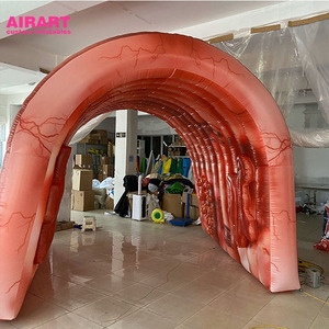 2020년 신형 대형 인플레이터블 대장, 대장암 과학 박람회용 - Product Image 2