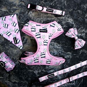 Arnés y Correa de Neopreno Personalizados de Lujo para Perros y Gatos, con Diseño de Logotipo Personalizado, Bajo MOQ - Product Image 2