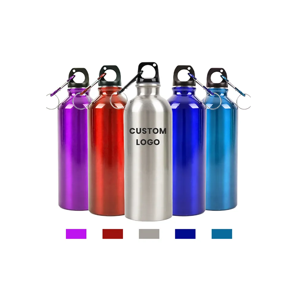 للبيع بالجملة زجاجة ملونة قابلة لإعادة الاستخدام من الفولاذ المقاوم للصدأ ، من الألومنيوم في صالة الألعاب الرياضية مشروب بمياه مسطحة لفصل الشتاء