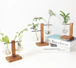 Plant Terrarium with Retro Wooden Stand, Metal Swivel Holder Hydroponics Plants Home Wedding Decor Glass Planter Bulb Vase