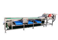 Robuuste Taro-Tomaat-Uien Automatische Roller Sizer Groente Sorteerapparatuur Industriële Verwerkingslijn Apparatuur