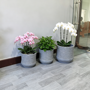 Macetas de Cemento Gris Simples, Macetero de Estilo Industrial, Florero Moderno para Decoración de Escritorio de Oficina, Maceta Pequeña para Suculentas - Product Image 6