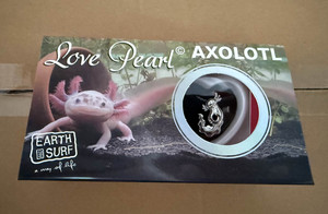 Perle d'amour magique Axolotl, un accessoire inoubliable, une perle cachée dans une huître, créant un moment surprise que vous chérissez - Product Image 4