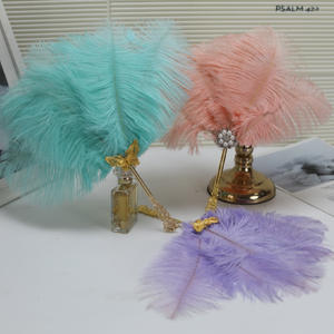 Éventail en plumes d'<span class=keywords><strong>autruche</strong></span> de petite taille en vente en gros Catwalk Photo Live Cheongsam Photo Shoot Stage Performance Props Fan - Product Image 2