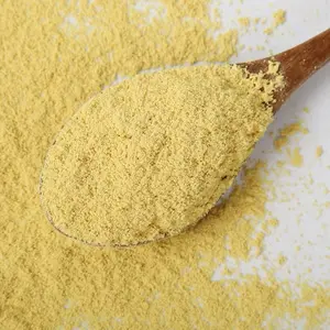 Ginger Powder In Bulk Quantity At Wholesale Price