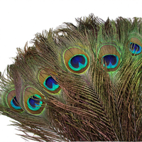 Plume de paon naturelle teinte, grande taille, fabriquée en Inde, modèle NA, pour fêtes, carnaval, maison, mariage, Noël, centre de table