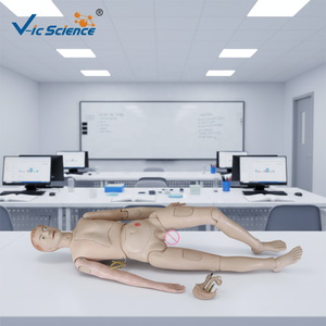 Maniquí de Enfermería de Ciencias Médicas, Nuevo Estilo, Muñeco Masculino para Entrenamiento de Enfermería, Muñecos de Enseñanza Médica, Modelo Educativo - Product Image 4