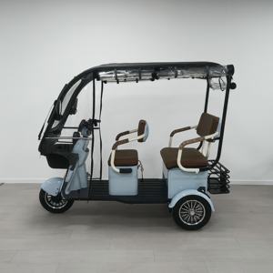 Offre Spéciale 1000W vélo <span class=keywords><strong>électrique</strong></span> à <span class=keywords><strong>3</strong></span> <span class=keywords><strong>roues</strong></span> usage familial Ebike Tricycle <span class=keywords><strong>Scooter</strong></span> pour personnes âgées <span class=keywords><strong>avec</strong></span> <span class=keywords><strong>toit</strong></span> - Product Image 1