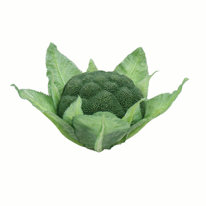 ก้านผักปลอมพลาสติก/PE ทนทาน เป็นมิตรกับสิ่งแวดล้อม เหมือนจริง ใช้ตกแต่งบ้าน ห้องครัว ซูเปอร์มาร์เก็ต - Product Image 5