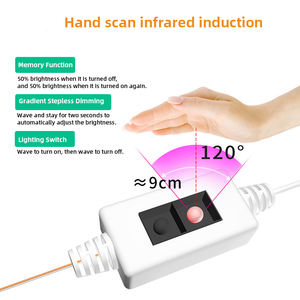 SIROKA-tira de luces Led inteligente IP68, resistente al agua, 2835, Flexible, de neón, 12v, de espectro completo - Product Image 2