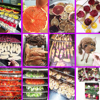 Commerciële Dehydrator Fruit En Groente Droger 8 Lagen Mini Fruit En Groente Droger Vlees Droger Voor Thuisgebruik