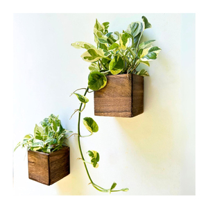 Jardinière <span class=keywords><strong>en</strong></span> <span class=keywords><strong>bois</strong></span> <span class=keywords><strong>pour</strong></span> plantes, petites jardinières murales carrées <span class=keywords><strong>pour</strong></span> plantes d'intérieur, pot de fleurs suspendu à la fenêtre, boîtes <span class=keywords><strong>en</strong></span> <span class=keywords><strong>bois</strong></span> <span class=keywords><strong>pour</strong></span> la maison et le jardin - Product Image 1