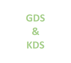 2025 최신 GDS/KDS 1 년 온라인 소프트웨어 워크샵 자동차 수리 소프트웨어 자동 업데이트 웹 사이트 로그인 - Product Image 1