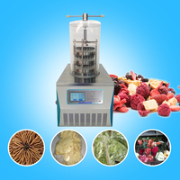 Secador de vacío liofilizador doméstico con máquina de liofilización al vacío 3 ~ 4 kg/lote de 2 a 3