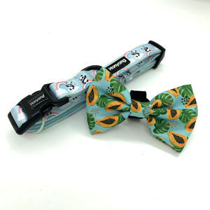 Beludru Korduroi Hijau Dipersonalisasi Kerah Kucing dengan Dasi Kupu-kupu Diam Kitten Nama Tag Emas Bell & Hardware Anjing Kecil Kerah UK Gratis - Product Image 2