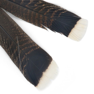 En stock, vente en gros, <span class=keywords><strong>plumes</strong></span> de queue de dinde naturelles de haute qualité pour costumes de carnaval, danse, artisanat d'Halloween - Product Image 6