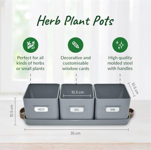 <strong>Herb</strong> Pots for <strong>Kitchen</strong> Windowsill Set of 3 <strong>Herb</strong> <strong>Planter</strong> Indoor with Leather Handled Tray Indoor <strong>Herb</strong> Garden - Product Image 6