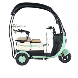 Senior-friendly Electric Scooter for Picking Children Compact Leisure Tricycle Home Use Women's Canopy Brushless Differential