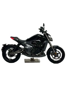 Motocicleta Cruiser <span class=keywords><strong>ZONTES</strong></span> <span class=keywords><strong>300</strong></span> de 310cc, Monocilíndrica, Refrigerada por Agua, con ABS, Pantalla TFT, Sin Llave, >180km/h, para Principiantes y Uso Diario - Product Image 6