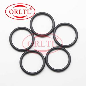 ORLTL F 00R J01 878 Con Dấu Cao Su Vòng F00RJ01878 Phun Cơ Thể Xây Dựng Lại Kit O-Ring F00R J01 878 5 cái/túi Cho Bosch 0445120 - Product Image 2