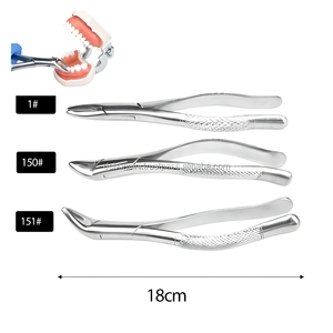 Pinces d'extraction dentaire en acier inoxydable, pinces chirurgicales à poignée ergonomique pour hôpital, clinique, chirurgie buccale, fournisseur en gros - Product Image 3