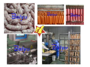Línea Completa de Producción de Salchichas Baiyu para Salchichas Frescas, <span class=keywords><strong>Hot</strong></span> Dogs, Salchichas Frankfurt y Salchichas para Desayuno - Product Image 2