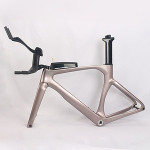GZXR 프리미엄급 카본 파이버 TT 프레임 아이스베리 핑크 고급 로드 바이크 - Product Image 1