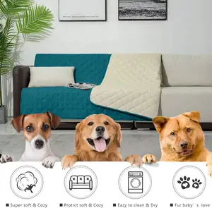 Süper yumuşak yavru köpek yatağı mobilya kanepe koruma için yıkanabilir Pet Whelp kilim çiş pedleri kapakları