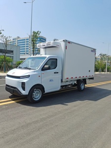 Camioneta <span class=keywords><strong>Refrigerada</strong></span> Eléctrica Geely F1E, Mini Camión de Carga Ligera para Transporte de Alimentos y Medicamentos en Cadena de Frío, Disponible con Volante a la Izquierda y Derecha - Product Image 2