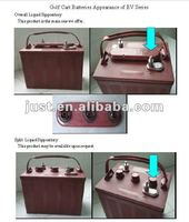 Batterie au plomb scellée à décharge profonde 6V 180Ah pour voiturette de golf 3-EV-180, batterie inondée, vente chaude