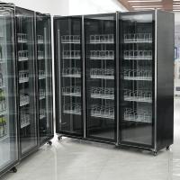 Réfrigérateur de présentation de boissons réfrigérées et congelées de haute qualité, équipement de réfrigération