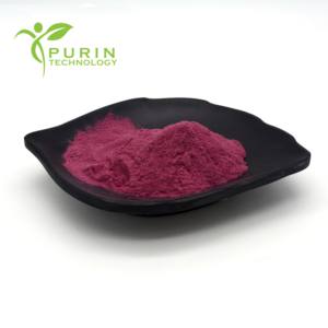 Ekstrak <span class=keywords><strong>Blackcurrant</strong></span> 10:1 <span class=keywords><strong>Blackcurrant</strong></span> kelas makanan dengan 25% aktivitas antioksidan - Product Image 3