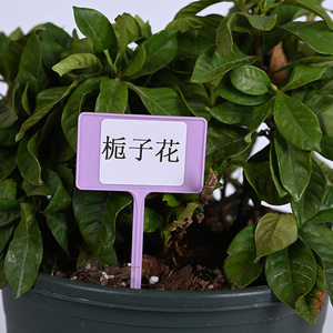 12pcs/pack Plant Markers Garden Labels Plastic <b>Name</b> <b>Tags</b> - Product Image 3