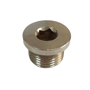 HASCO النحاس 1/4 BSP التوصيل المقبس المسمار التبريد المقابس - Product Image 3