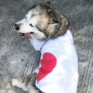 Abbigliamento Coordinato per Proprietari e Cani, Vestiti per Animali Domestici con Motivi a Cuore, Abbigliamento Abbinato per Cani e Umani all'Ingrosso - Product Image 4