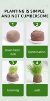Kit de Bricolage Créatif pour Enfants : Poupée à Tête d'Herbe Magique DIY, Jouet Plante à Cultiver