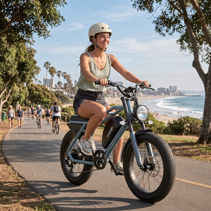 Vélo électrique tout-terrain M2 500W 48V 15Ah à 7 vitesses, cadre en acier, pneus larges, freins à tambour rétro, moteur moyeu arrière, 20 pouces, 45 km/h - Product Image 6