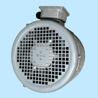 Externer Kühlventilator G112A für Dreiphasen-Elektromotoren IP55 Belüftungskugel OEM/ODM 415V/380V/220V Kohlenstoffstahl-Lüfterblätter