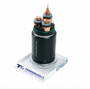 สายเคเบิลแรงดันปานกลาง 8.7/<span class=keywords><strong>15kV</strong></span> ZC-YJV22 3x150mm2 ทองแดง XLPE หุ้มเกราะเหล็ก สำหรับสายไฟฟ้าส่งในสถานีไฟฟ้าอุตสาหกรรม - Product Image 4
