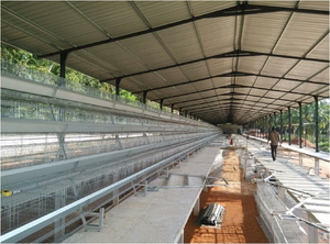 Vente chaude automatique 90/120/150 couches Cages à poulets Nouvelle conception de cage pour <span class=keywords><strong>poules</strong></span> <span class=keywords><strong>pondeuses</strong></span> pour <span class=keywords><strong>ferme</strong></span> avicole - Product Image 3