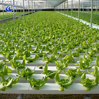 Conception modulaire Tuyau hydroponique à haut rendement et économie d'eau Système de culture hydroponique hors-sol