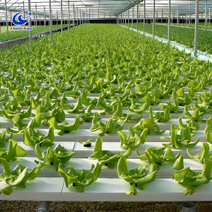 Tubería de diseño modular, sistema de cultivo hidropónico sin suelo para cultivo hidropónico de alto rendimiento y ahorro de agua - Product Image 6