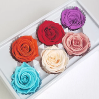 Bunga Mawar Abadi 6 PCS 5-6 cm Grade AA Asli Alami Abadi Tahan Lama 3-5 Tahun Hari Ibu