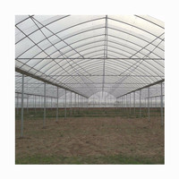 Serre tunnel simple en plastique pour tomates, légumes et usage agricole – Offre spéciale