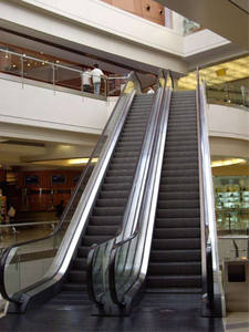 FUJI ZY-elevadores de escaleras industriales para interiores y exteriores, barandilla, escaleras mecánicas eléctricas de acero inoxidable - Product Image 3