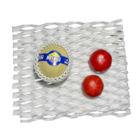 Coussin en mousse EPE perforée pour la protection des raisins, des poires et des kiwis, tapis de séparation pour boîte d'emballage de fruits