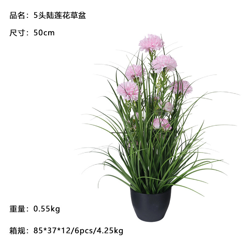 50cm 5-headed Landrace plant pot