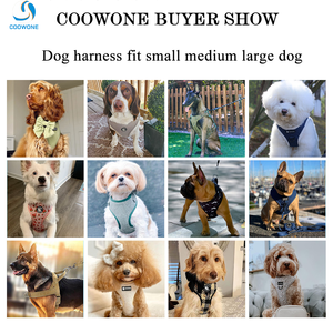 Harnais pour chien sans traction en PVC de luxe personnalisé OEM, ensemble de laisse et collier pour animaux de compagnie réglable et imperméable, fournitures pour animaux de compagnie - Product Image 4