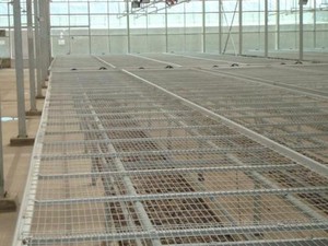 Agriculture Fixed <strong>Benches</strong> for Nursery for <strong>Greenhouse</strong> - Product Image 4